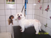 /album/fotogaleria/salon-022-jpg/